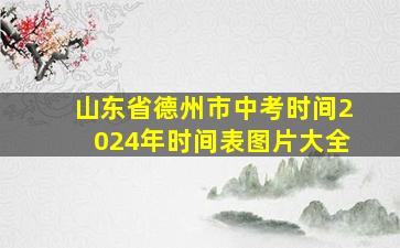 山东省德州市中考时间2024年时间表图片大全