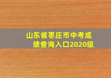 山东省枣庄市中考成绩查询入口2020级