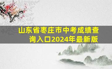 山东省枣庄市中考成绩查询入口2024年最新版