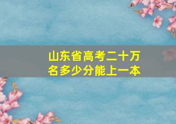 山东省高考二十万名多少分能上一本