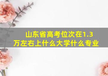 山东省高考位次在1.3万左右上什么大学什么专业