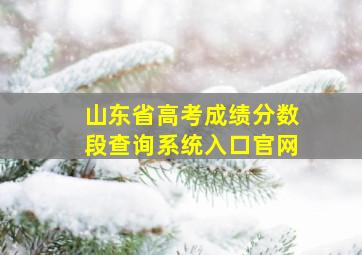 山东省高考成绩分数段查询系统入口官网