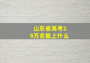 山东省高考29万名能上什么