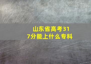 山东省高考317分能上什么专科