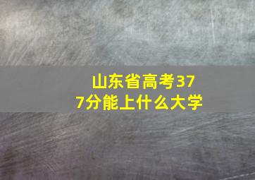 山东省高考377分能上什么大学