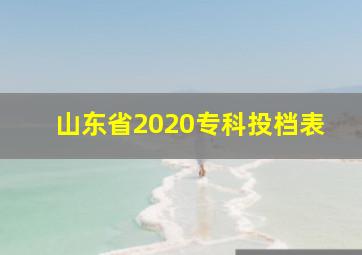 山东省2020专科投档表