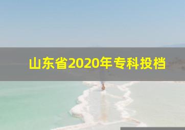 山东省2020年专科投档