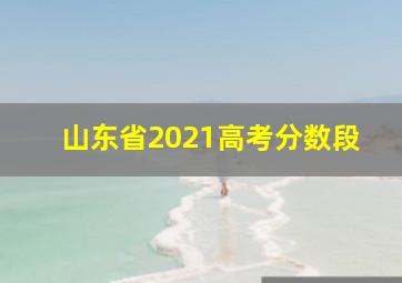 山东省2021高考分数段