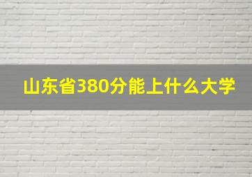 山东省380分能上什么大学