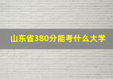 山东省380分能考什么大学