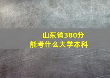 山东省380分能考什么大学本科