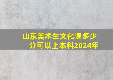 山东美术生文化课多少分可以上本科2024年