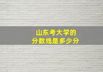 山东考大学的分数线是多少分