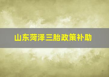 山东菏泽三胎政策补助