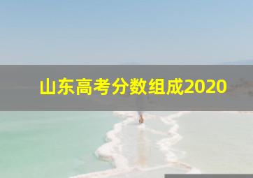 山东高考分数组成2020