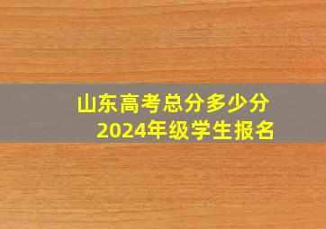 山东高考总分多少分2024年级学生报名