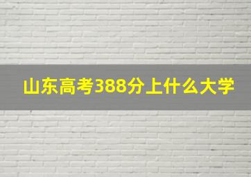 山东高考388分上什么大学