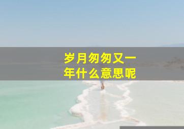 岁月匆匆又一年什么意思呢