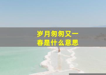 岁月匆匆又一春是什么意思