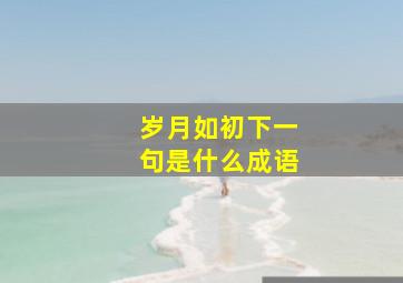 岁月如初下一句是什么成语