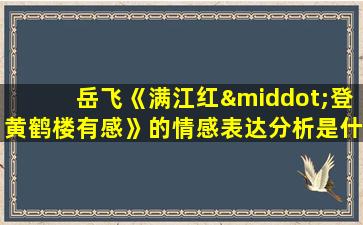 岳飞《满江红·登黄鹤楼有感》的情感表达分析是什么?