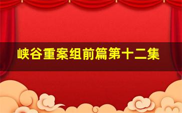 峡谷重案组前篇第十二集