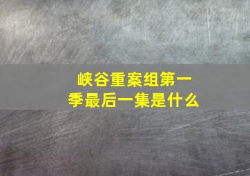 峡谷重案组第一季最后一集是什么