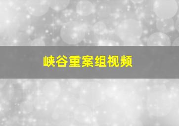 峡谷重案组视频