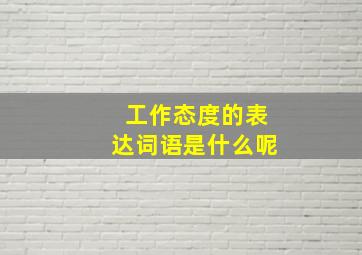 工作态度的表达词语是什么呢