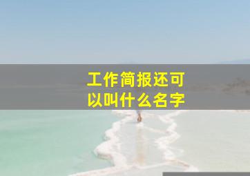 工作简报还可以叫什么名字