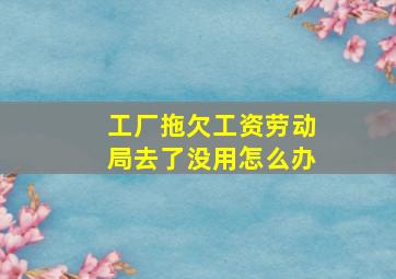 工厂拖欠工资劳动局去了没用怎么办