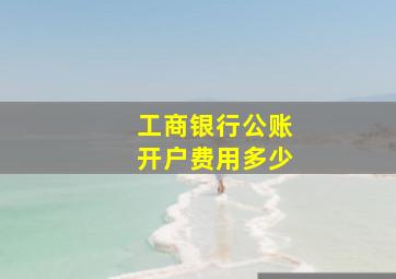 工商银行公账开户费用多少