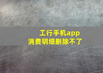 工行手机app消费明细删除不了