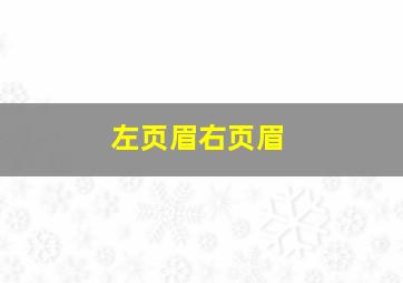 左页眉右页眉