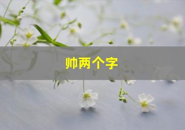 帅两个字