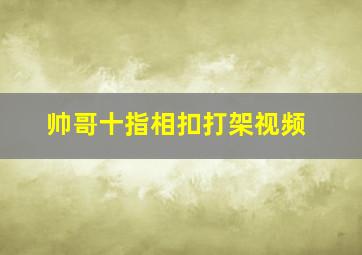 帅哥十指相扣打架视频