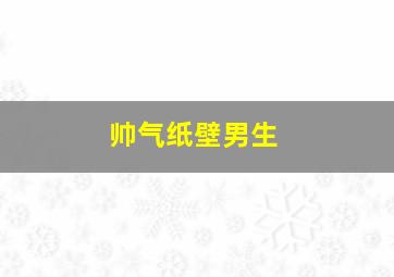 帅气纸壁男生