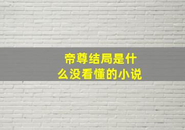 帝尊结局是什么没看懂的小说