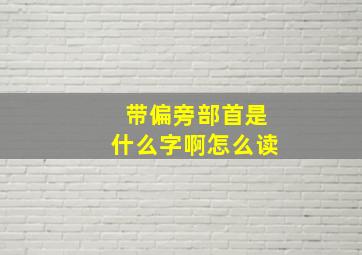 带偏旁部首是什么字啊怎么读