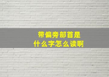 带偏旁部首是什么字怎么读啊