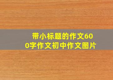 带小标题的作文600字作文初中作文图片