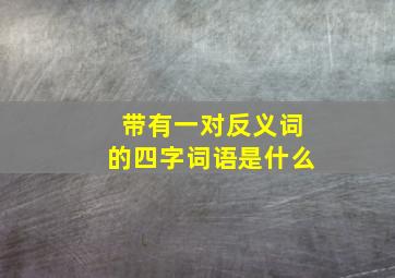 带有一对反义词的四字词语是什么