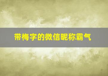 带梅字的微信昵称霸气