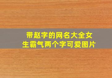 带赵字的网名大全女生霸气两个字可爱图片