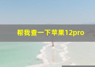 帮我查一下苹果12pro