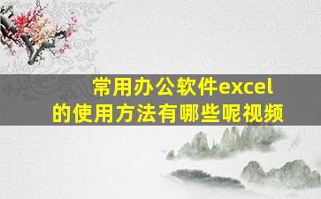 常用办公软件excel的使用方法有哪些呢视频