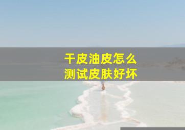 干皮油皮怎么测试皮肤好坏