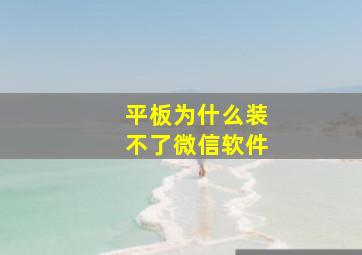 平板为什么装不了微信软件