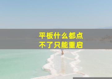 平板什么都点不了只能重启