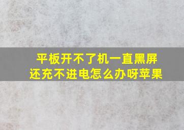 平板开不了机一直黑屏还充不进电怎么办呀苹果